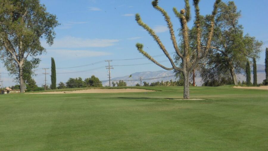 Apple Valley GC: #13