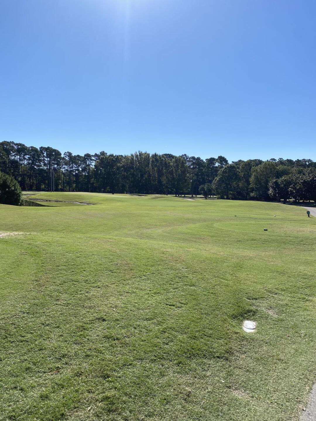 (Photo submitted by susan1 on 10/16/2024)