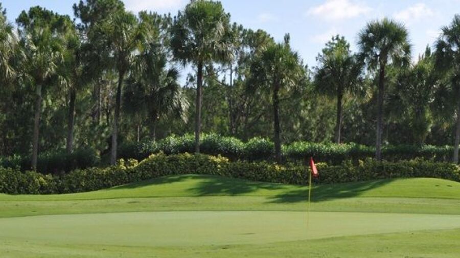 Cedar Hammock GCC
