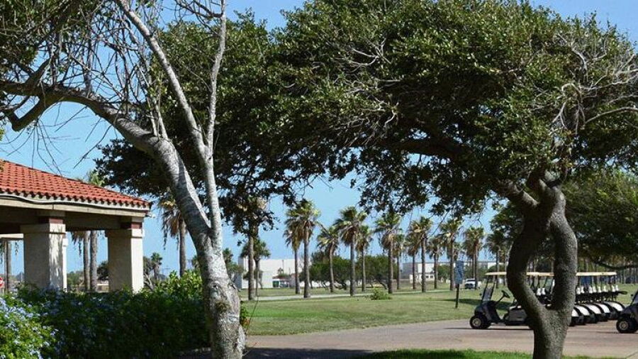 Gulf Winds GC
