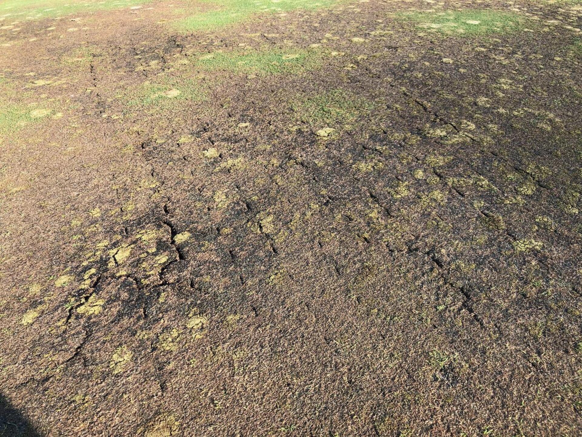 (Photo submitted by vkauf on 08/12/2021)