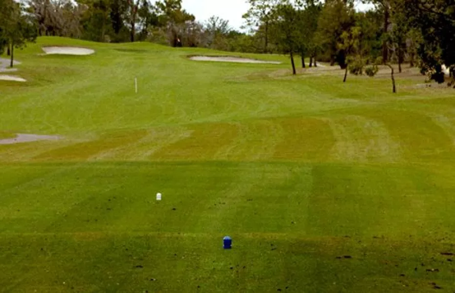Spring Hill GC: 1st Teebox/Fairway