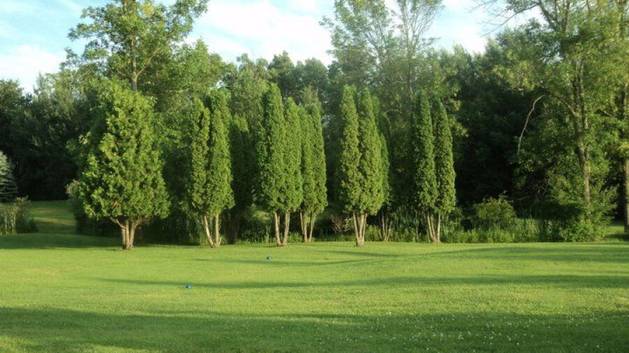 Summer Breeze Par 3