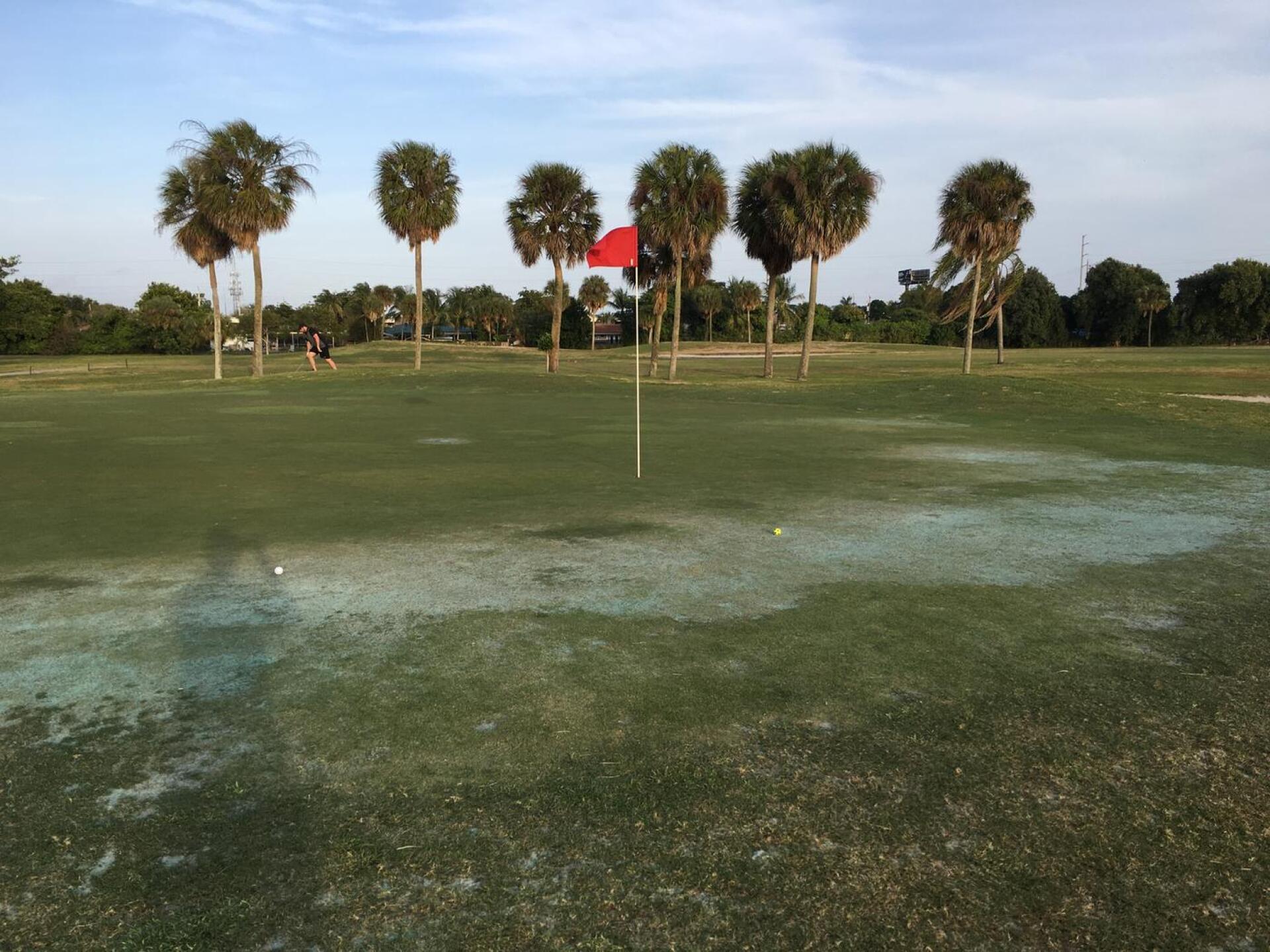 Best spot on the green for a pin position? (Photo submitted by Shmitty8 on 03/04/2020)