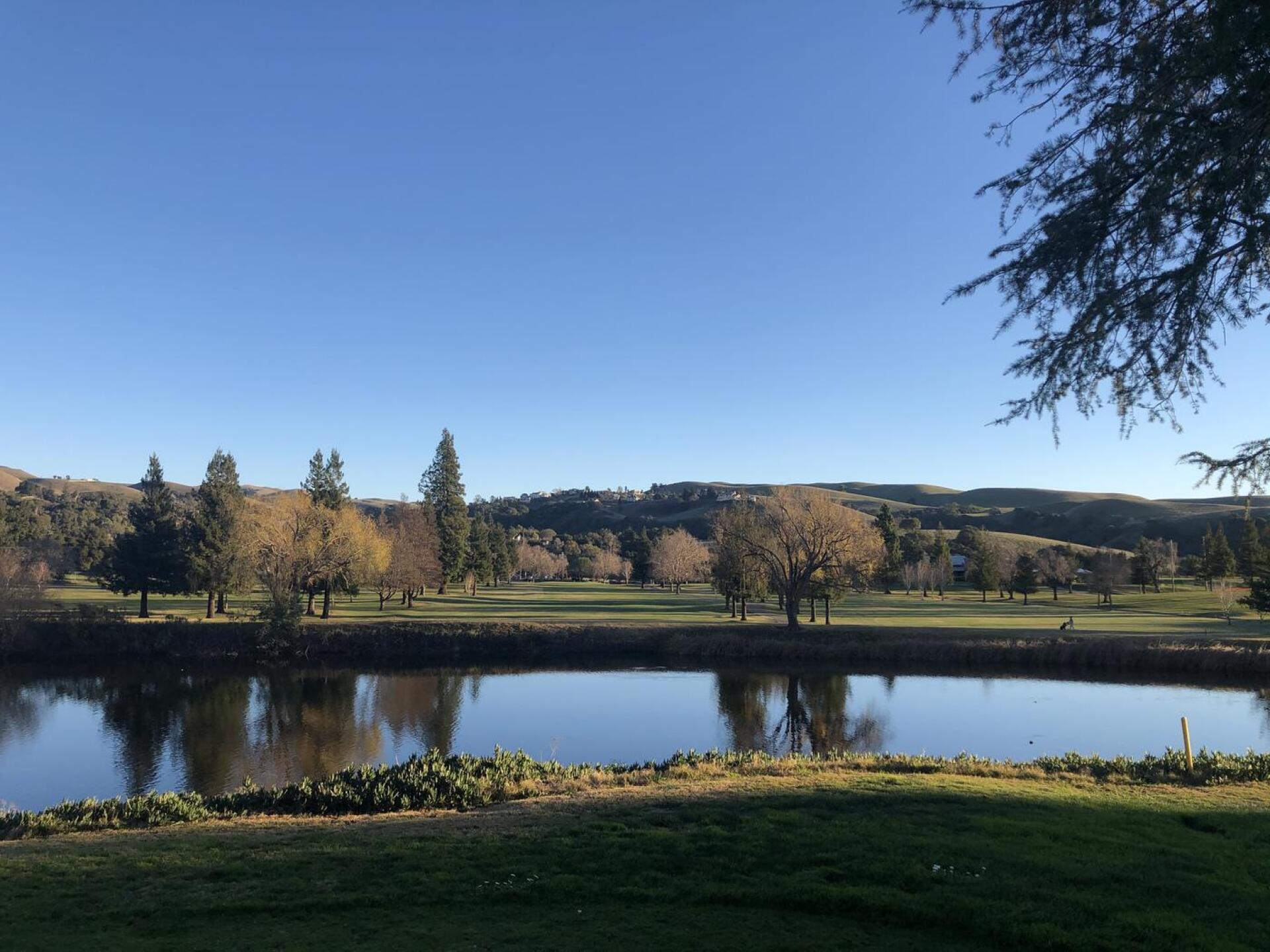 View of the 9th and 18th hole looking from lake level (Photo submitted by Suzanne6530602 on 01/18/2021)