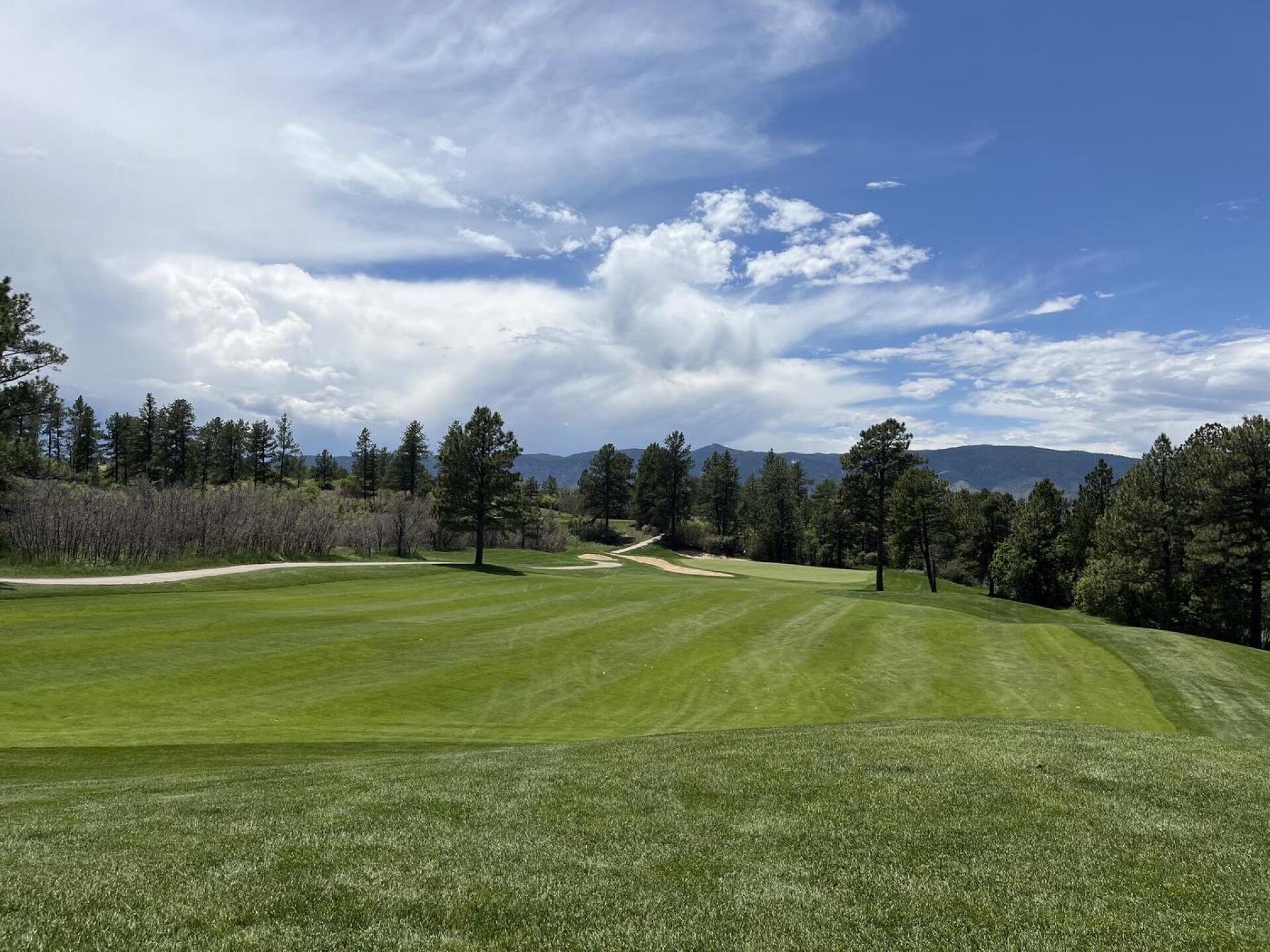 (Photo submitted by QuantumGolfx on 06/20/2025)