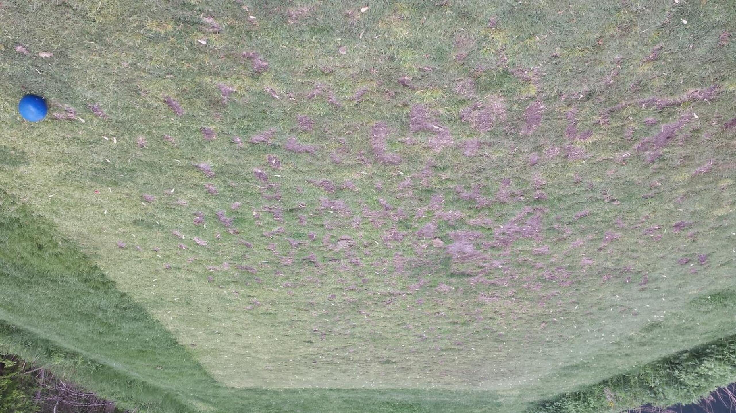 (Photo submitted by steveborisenko on 05/20/2015)