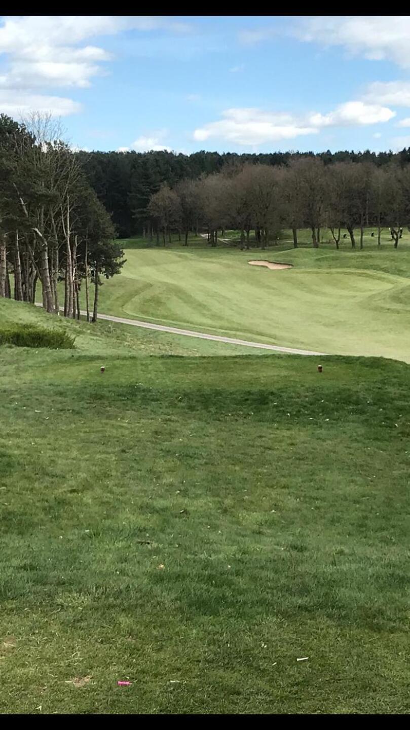 (Photo submitted by u314160939278 on 04/14/2021)