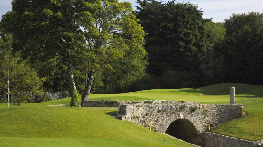 Edmondstown GC: #14