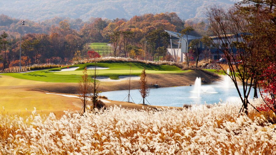 Sejong Field GC: #9