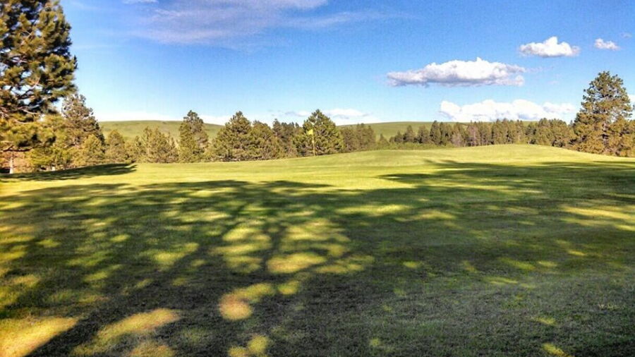 Pine Meadows GC