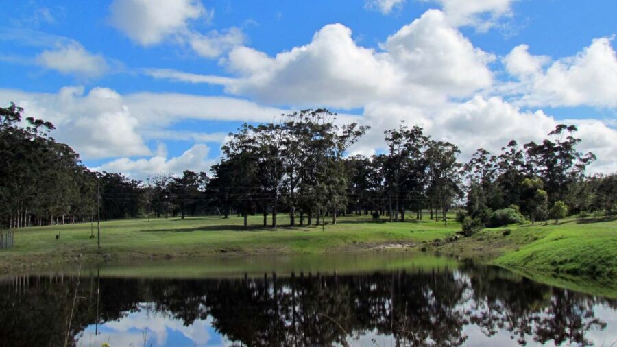 Kragga Kamma GC: #5