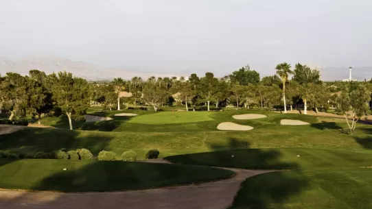 Golf Summerlin - Palm Valley Course - 7th