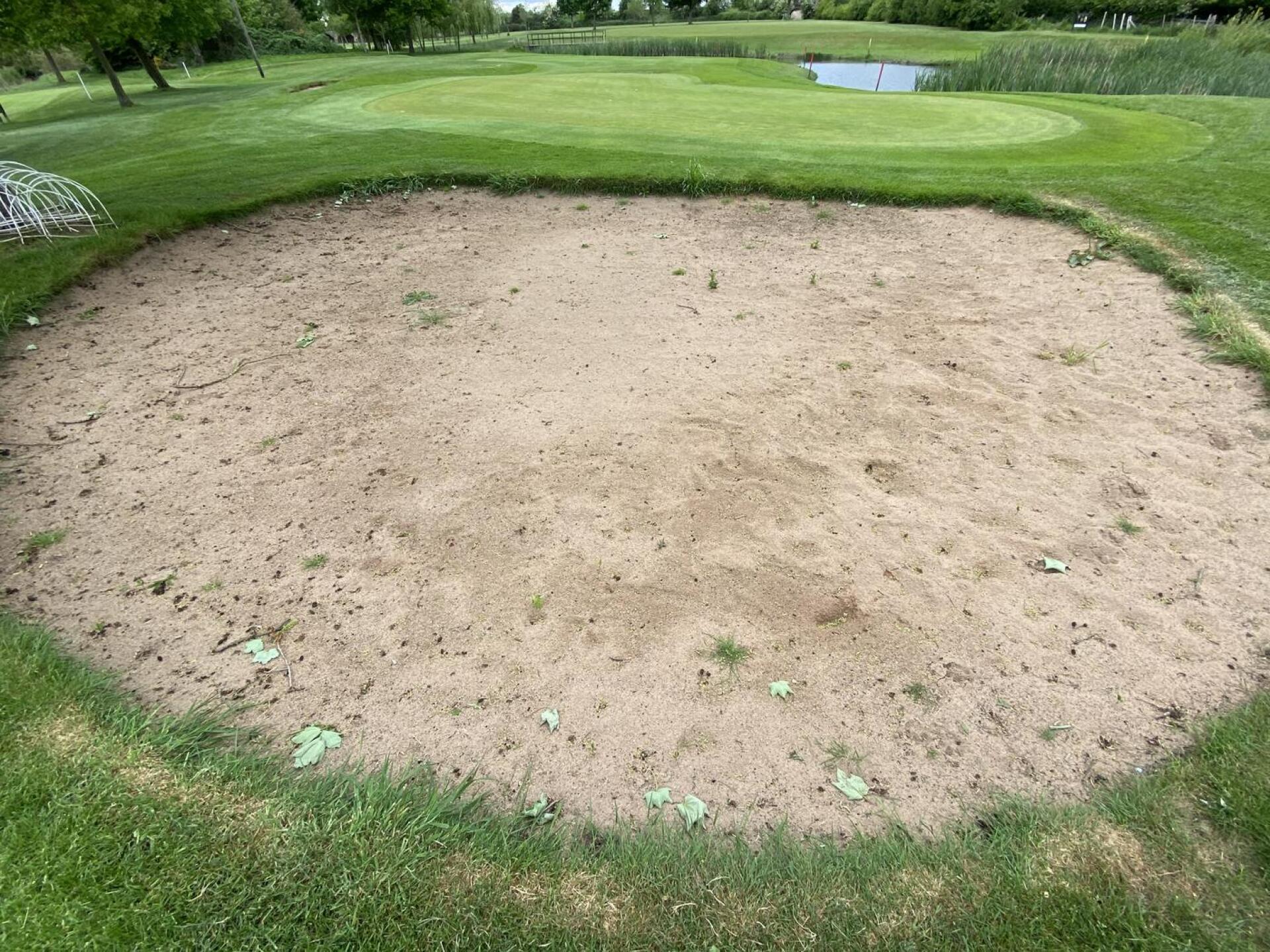 (Photo submitted by u1513253375 on 07/28/2021)