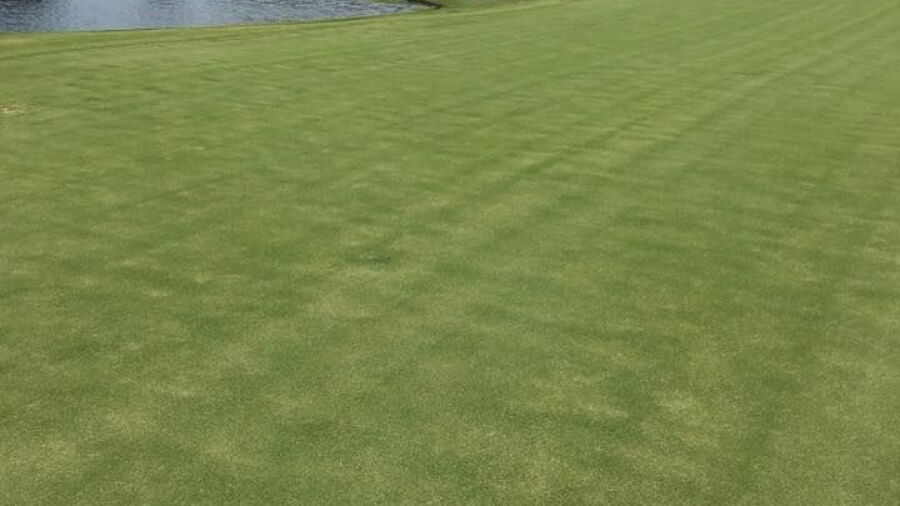 Sandpiper Bay GCC