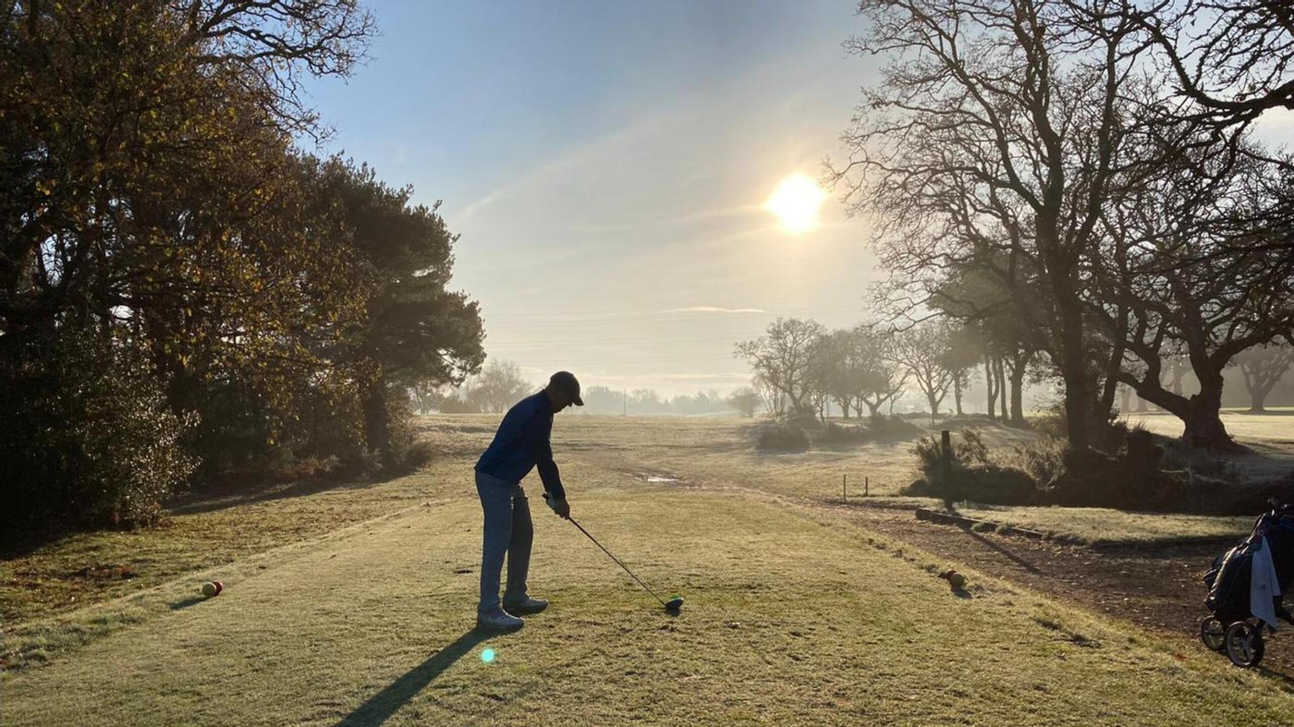 (Photo submitted by t557559187 on 12/09/2020)