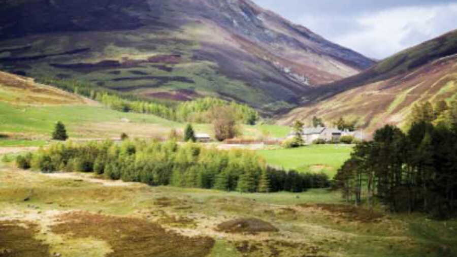Auchnafree GC