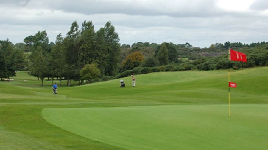 Royal Curragh GC: #11