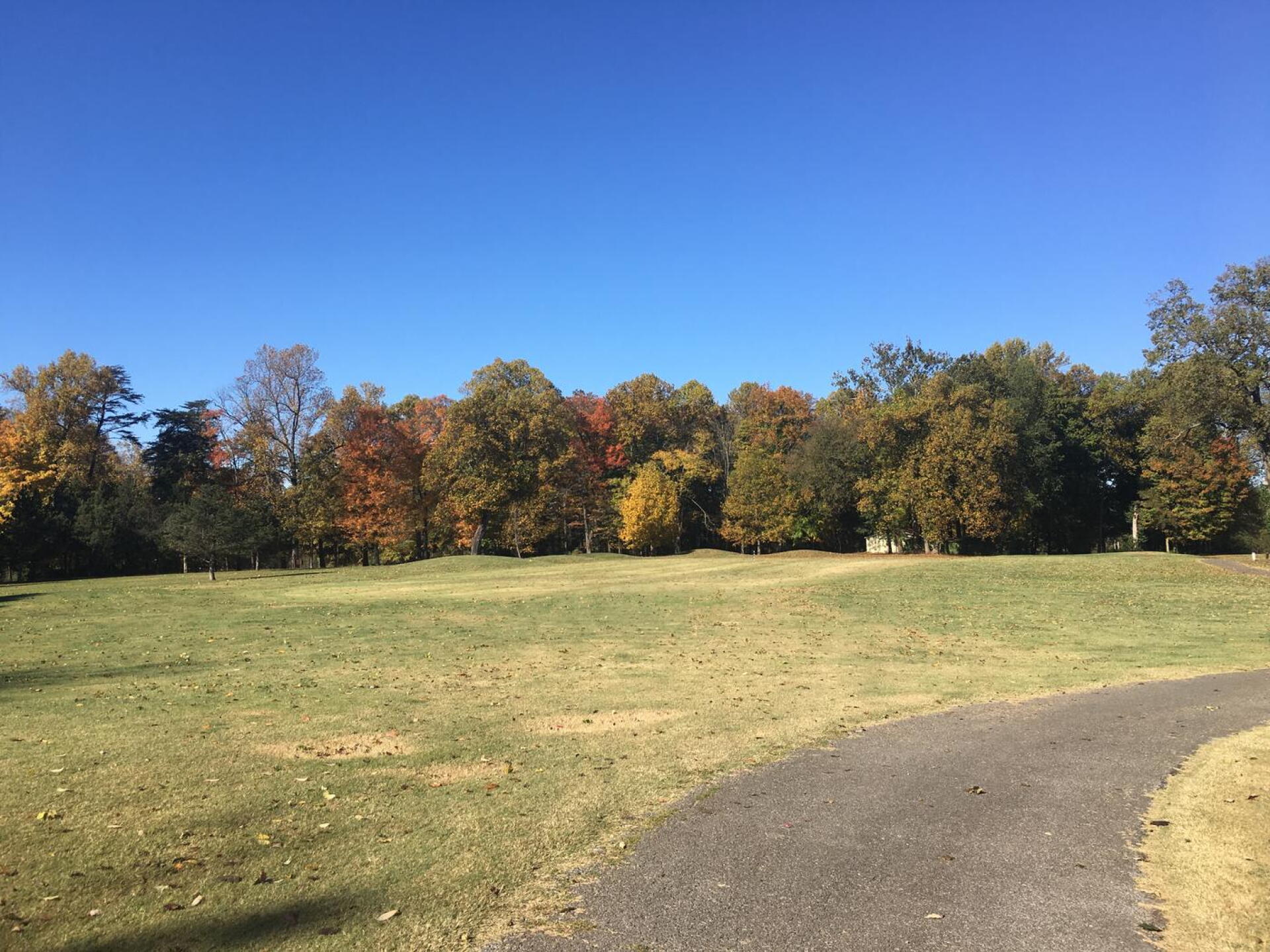 Leaves changing (Photo submitted by kipyoungatp on 10/14/2020)