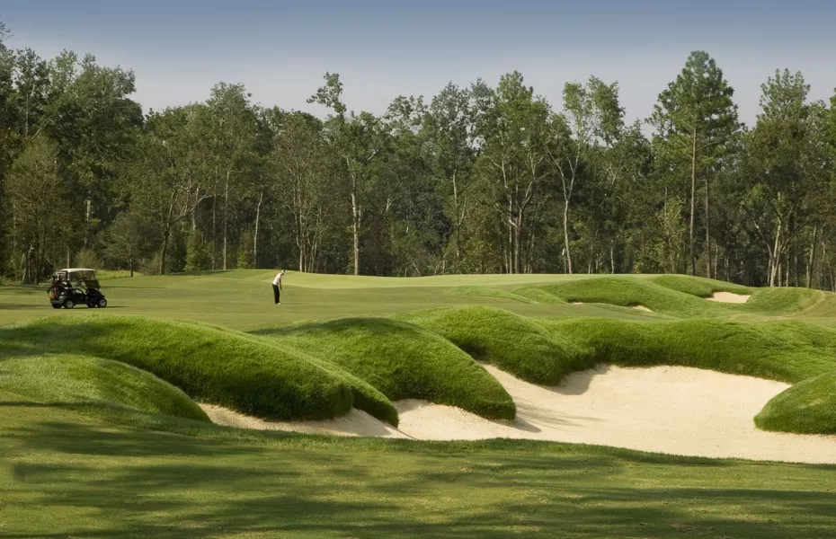 Superb Fallen Oak Course - Biloxi