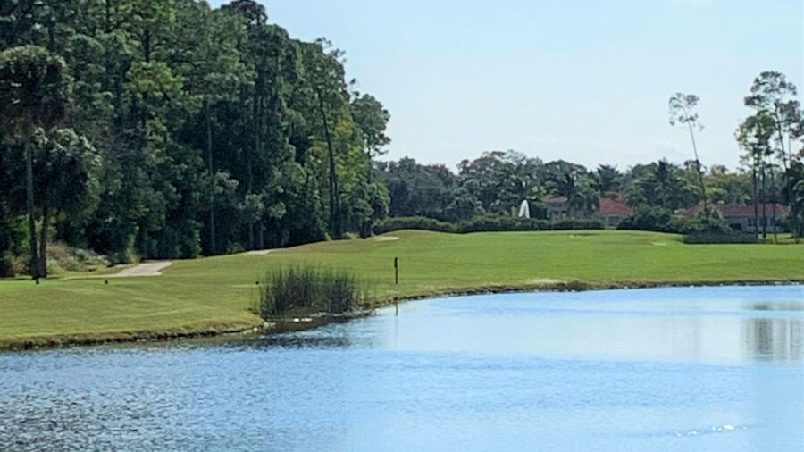Waterford GC - Sawgrass: #2