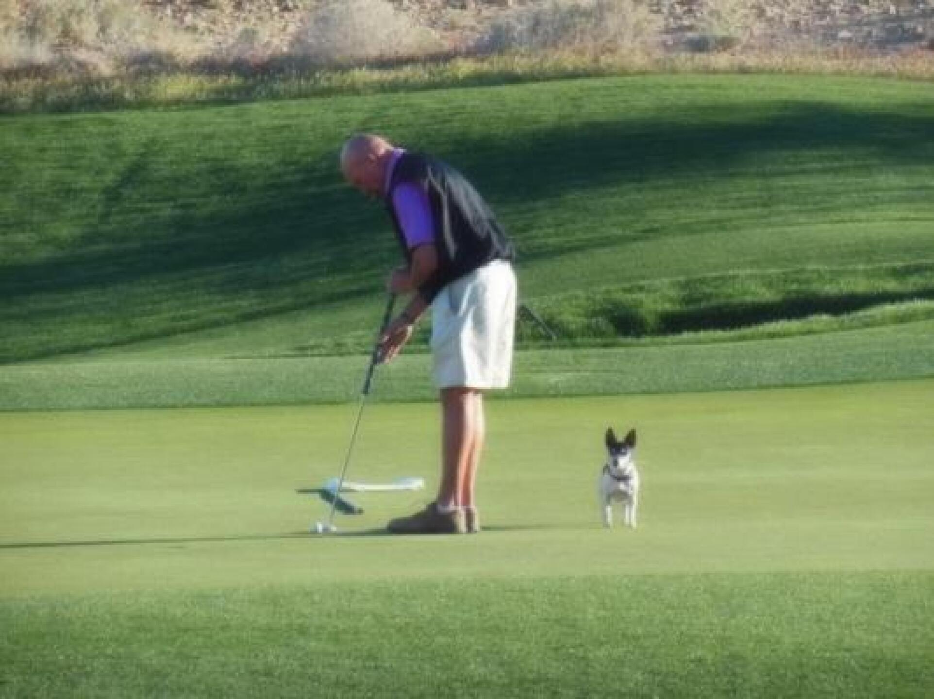 The best caddie that can't count! (Photo submitted by hornby on 03/13/2014)