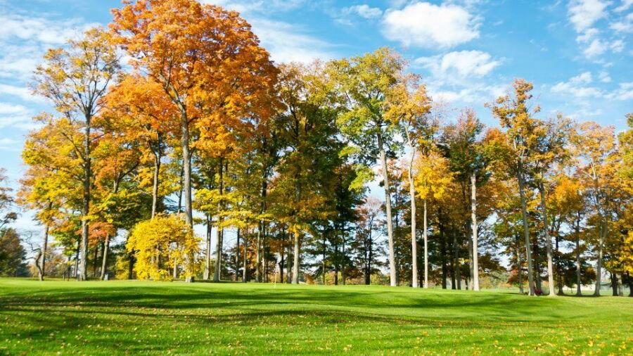 The East at Forest Akers GC: #10