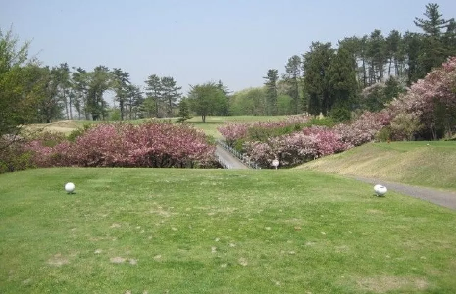 Akagi Kokusai CC - South: #6