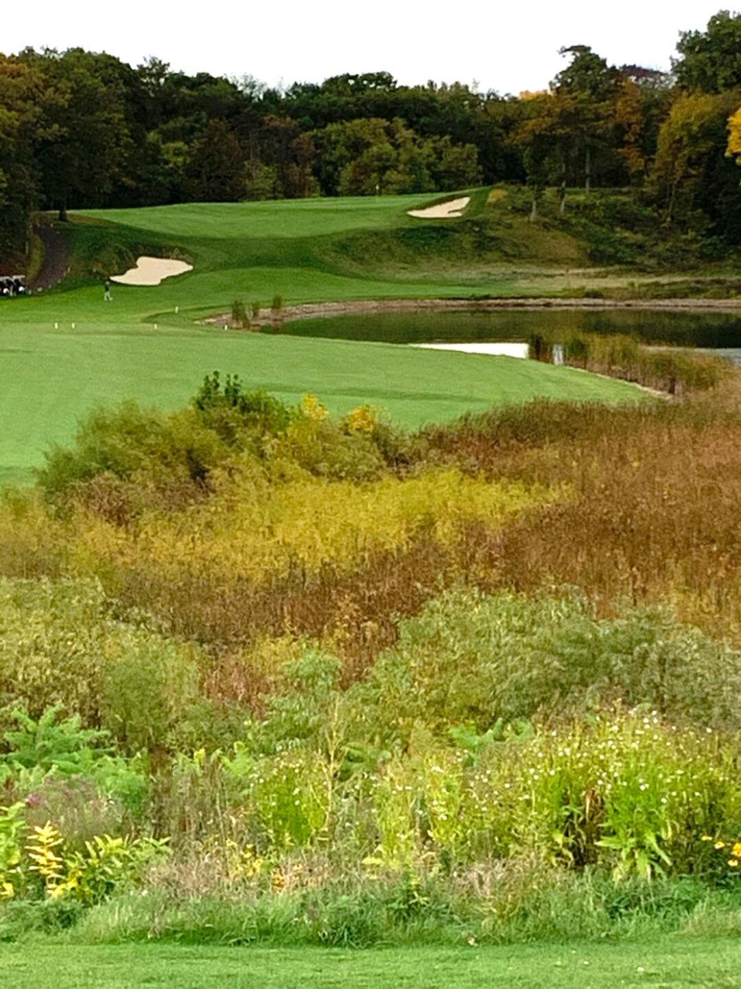 Over marsh, past water, up hill (Photo submitted by StPaulJoe on 09/29/2020)