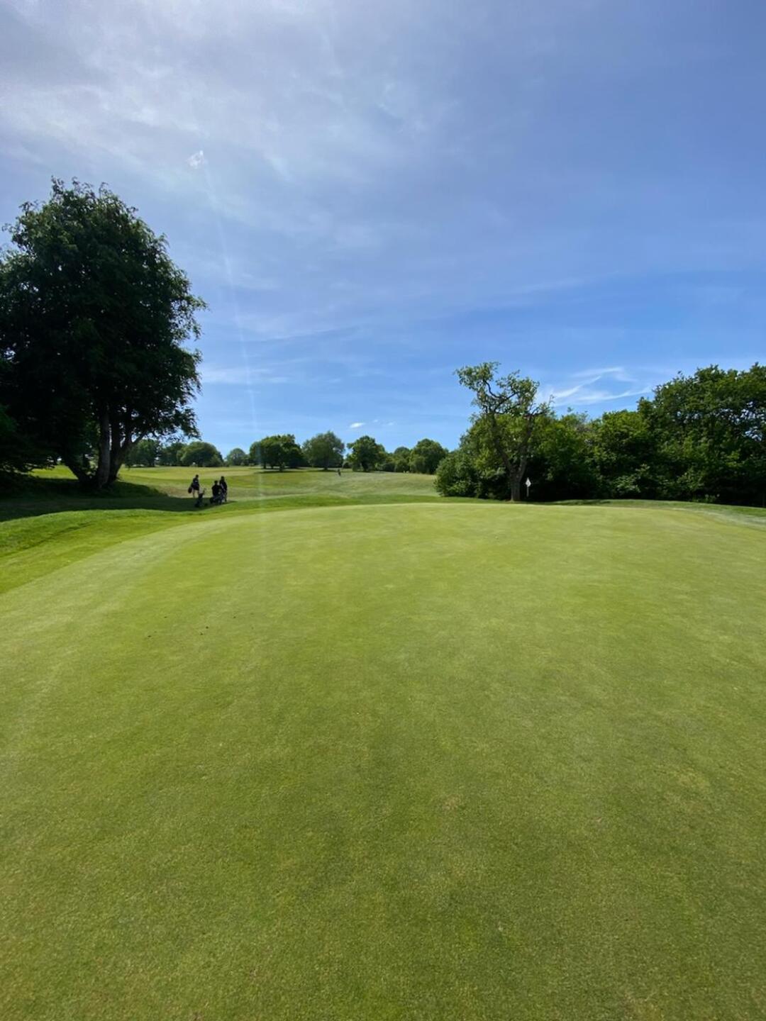 (Photo submitted by u314162663558 on 05/31/2023)