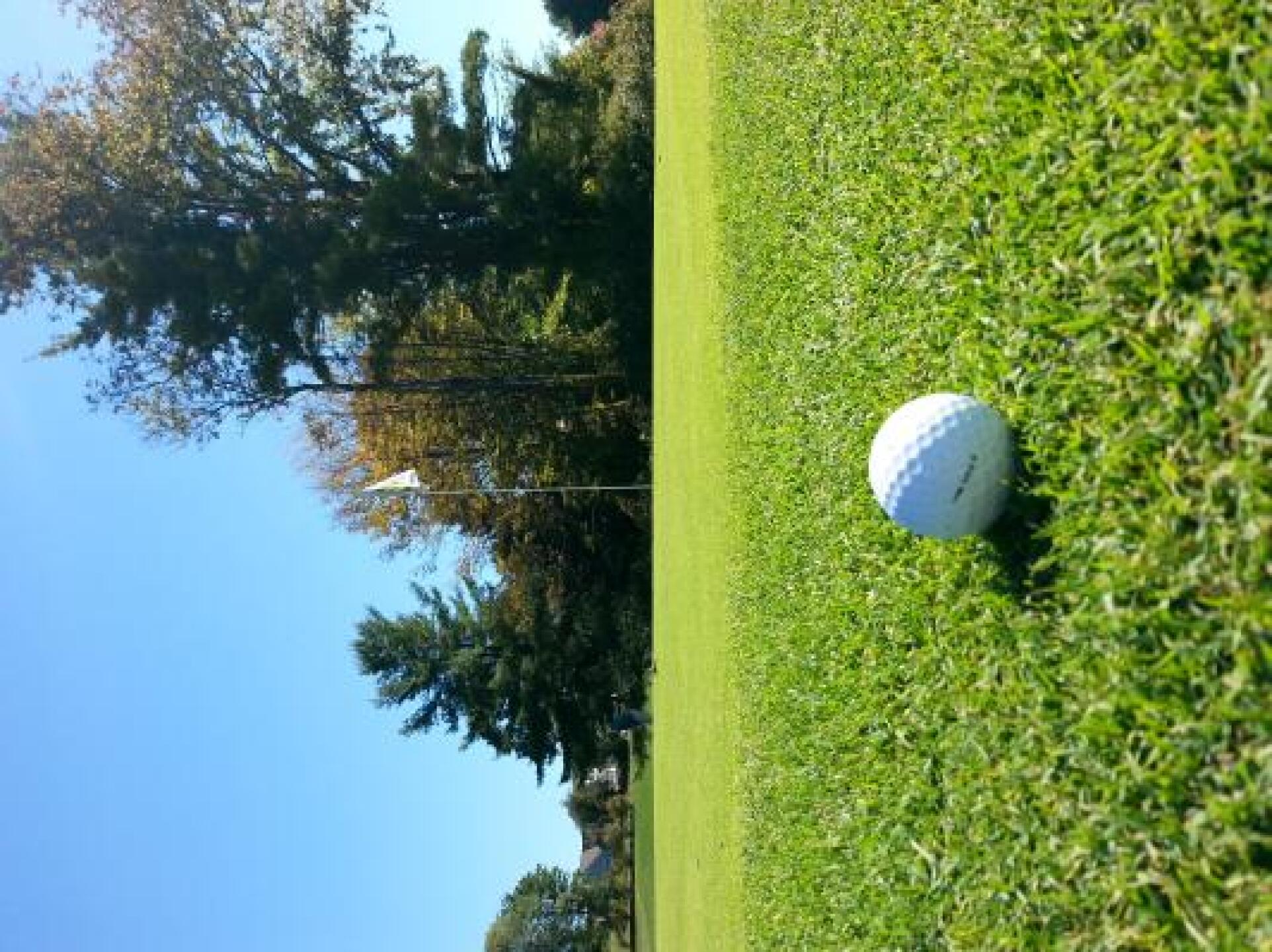 (Photo submitted by hrau24 on 10/05/2013)