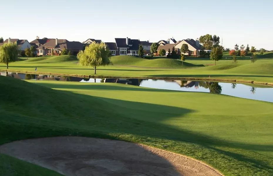 Tanglewood - The Lion