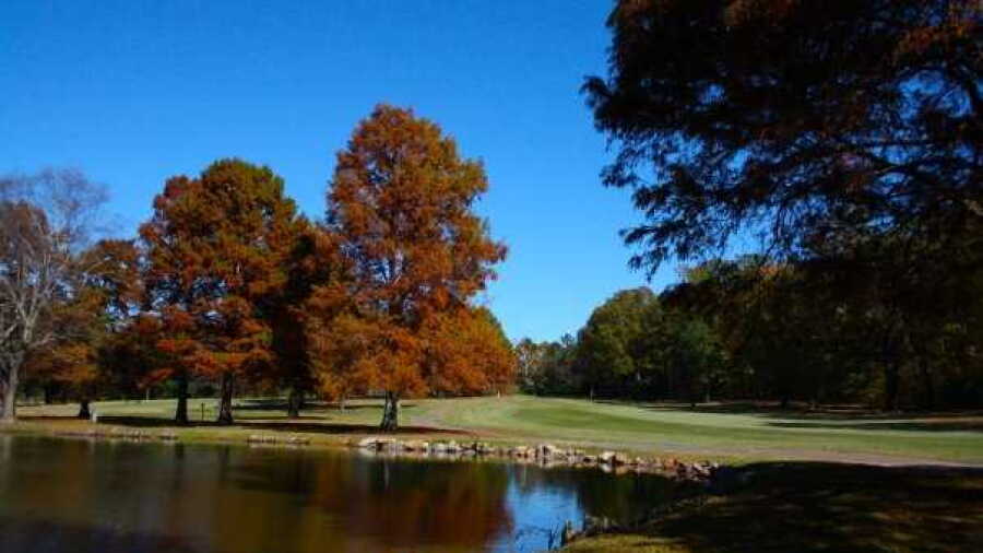 Windyke CC