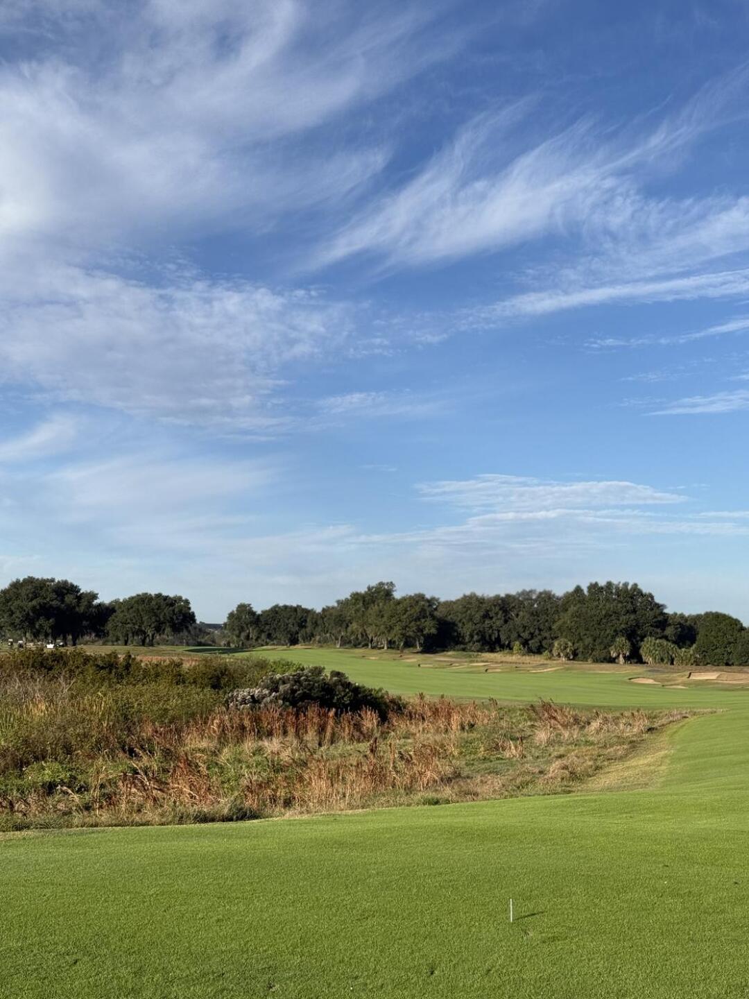 (Photo submitted by Alonzo9504713 on 12/13/2025)