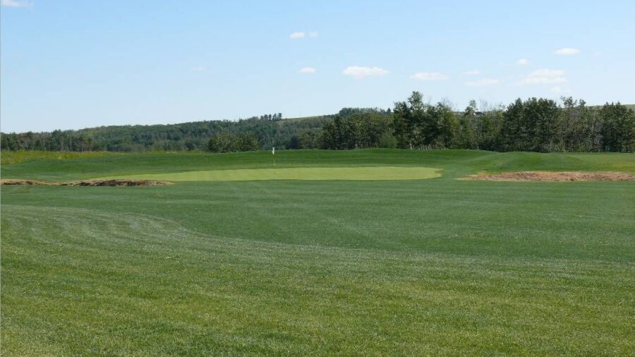 Tooth of the Dogpound Creek GC: #17