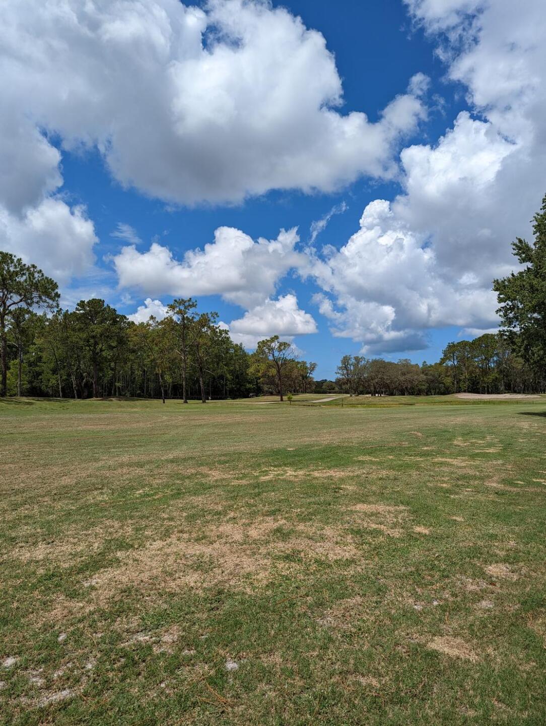 Typical fairway (Photo submitted by EarlJr on 06/06/2023)