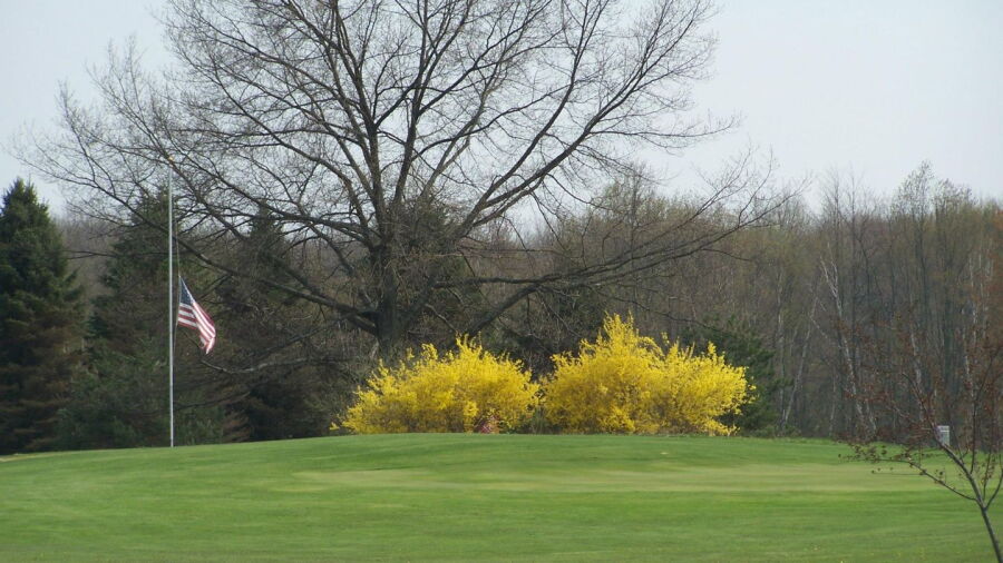 Devil's Knob GC: #3