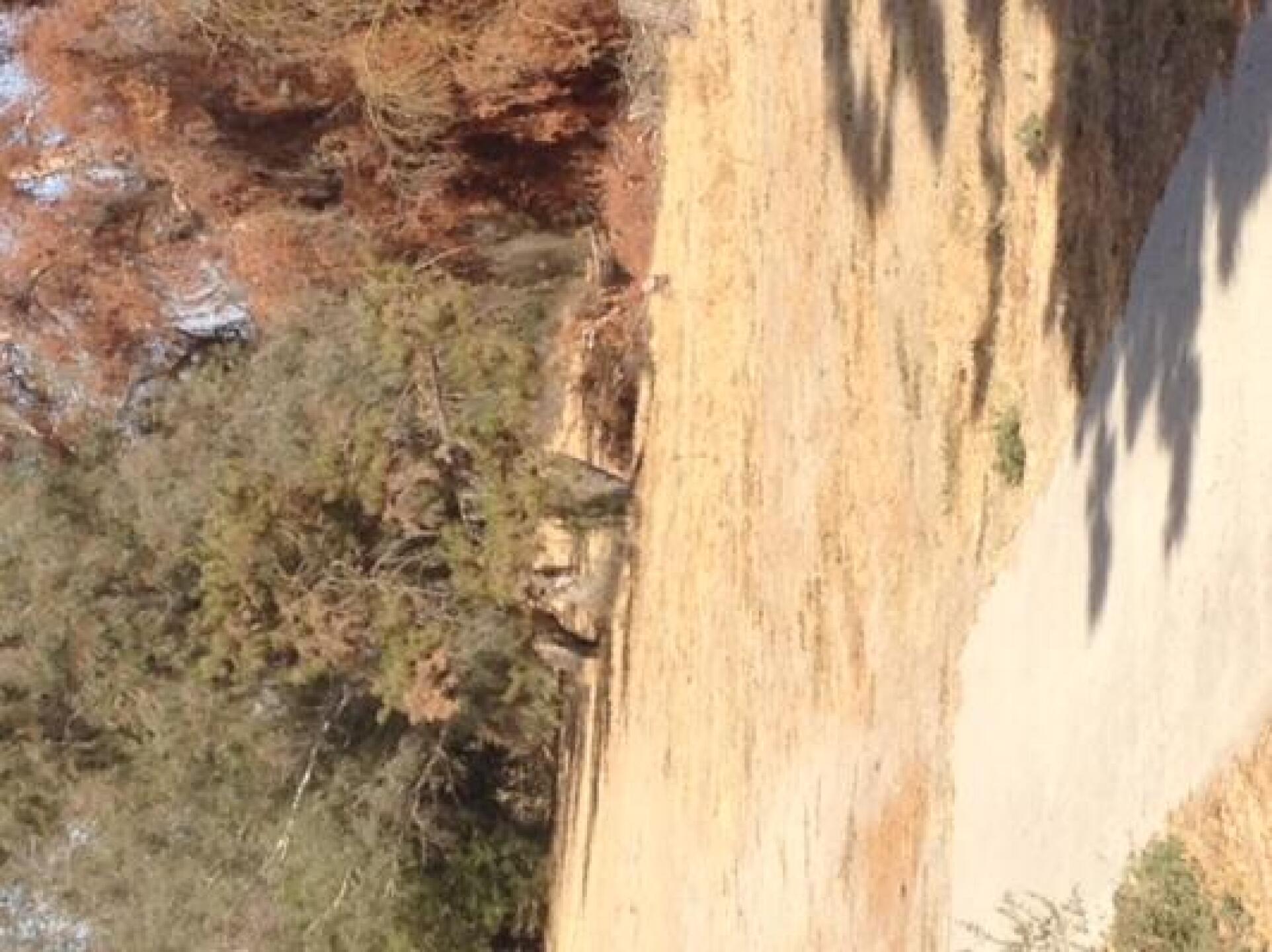 (Photo submitted by CenCalHack on 10/23/2014)