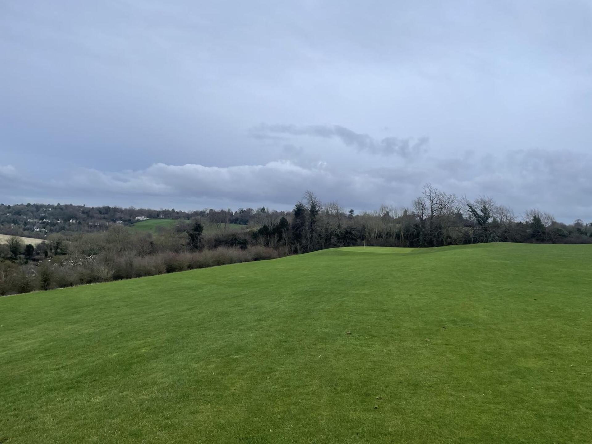 (Photo submitted by vGpXNNTEs1tqD5pNLmTr on 02/12/2024)