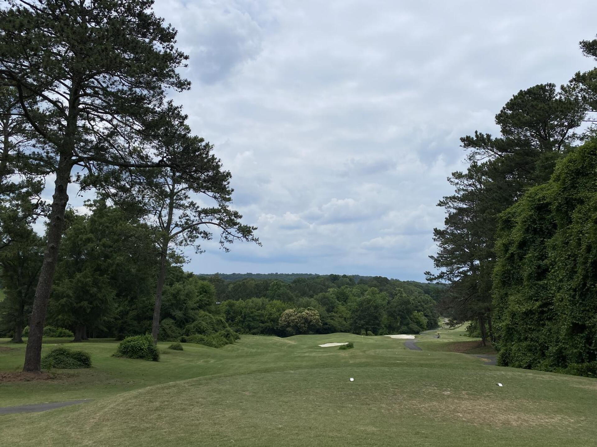 Hole 15 (Photo submitted by goworx on 05/24/2024)