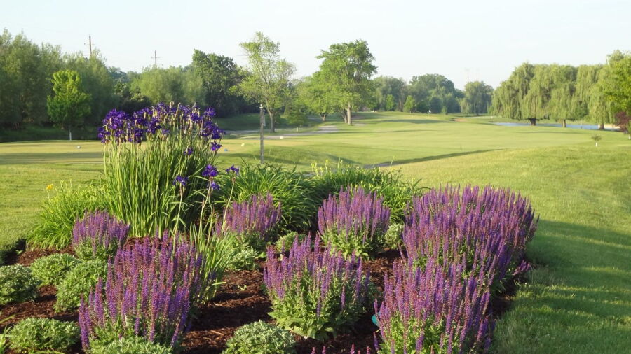 Palos CC