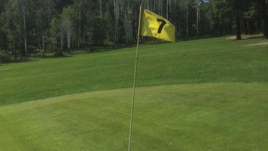 Alpine CC: #7