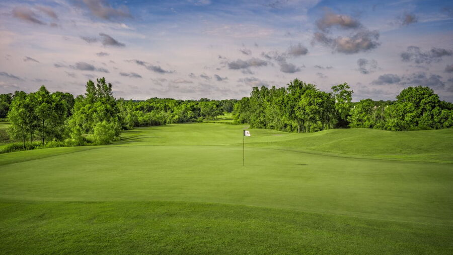 Towhee Club: #8