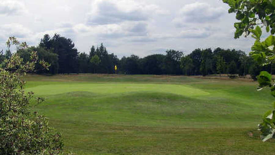 Brickendon Grange GC: #11