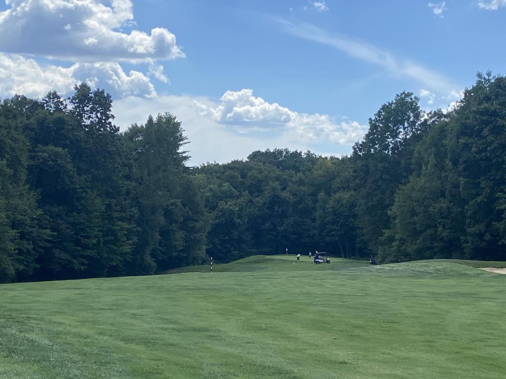 (Photo submitted by twizzard82 on 08/16/2022)