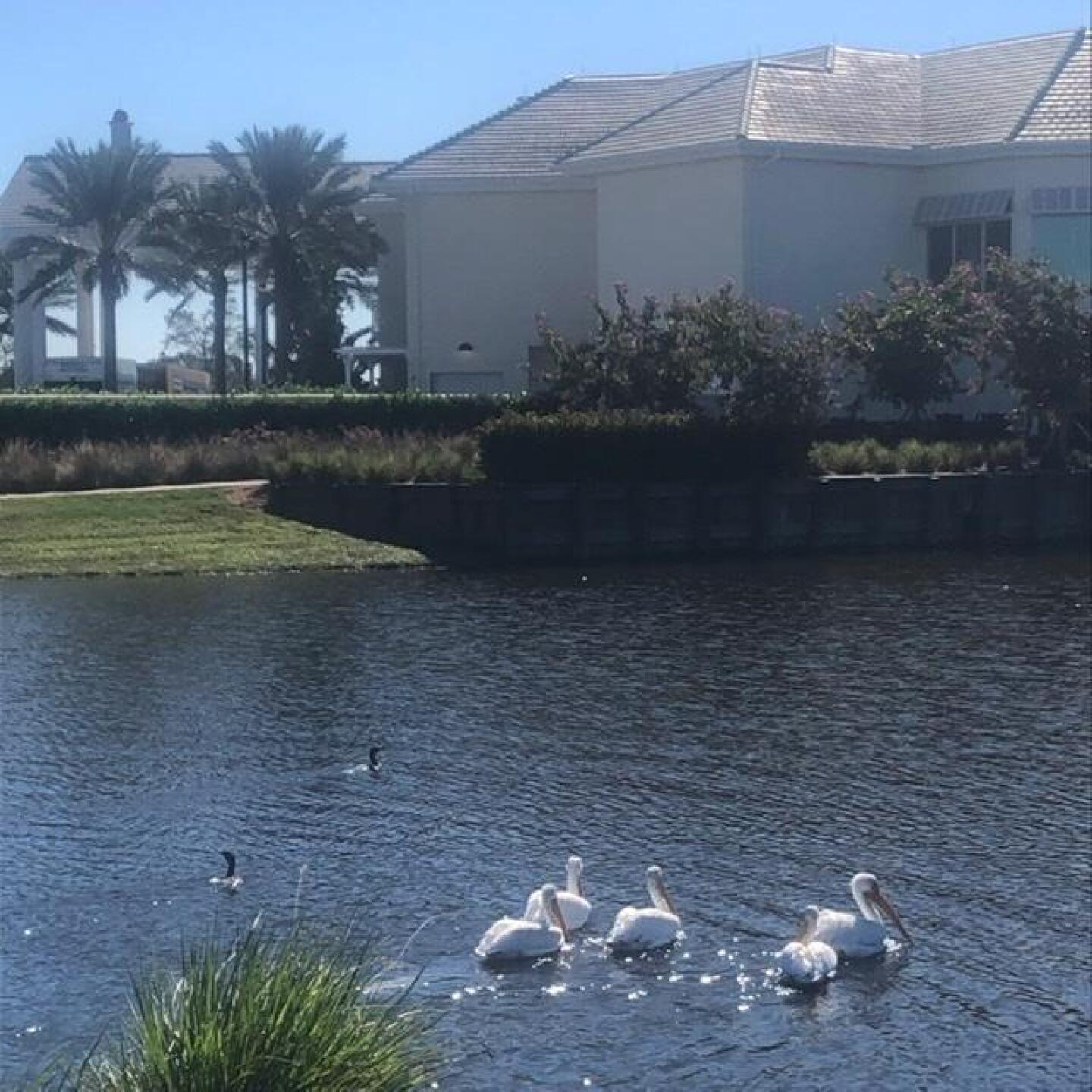 (Photo submitted by lyoung on 01/06/2020)