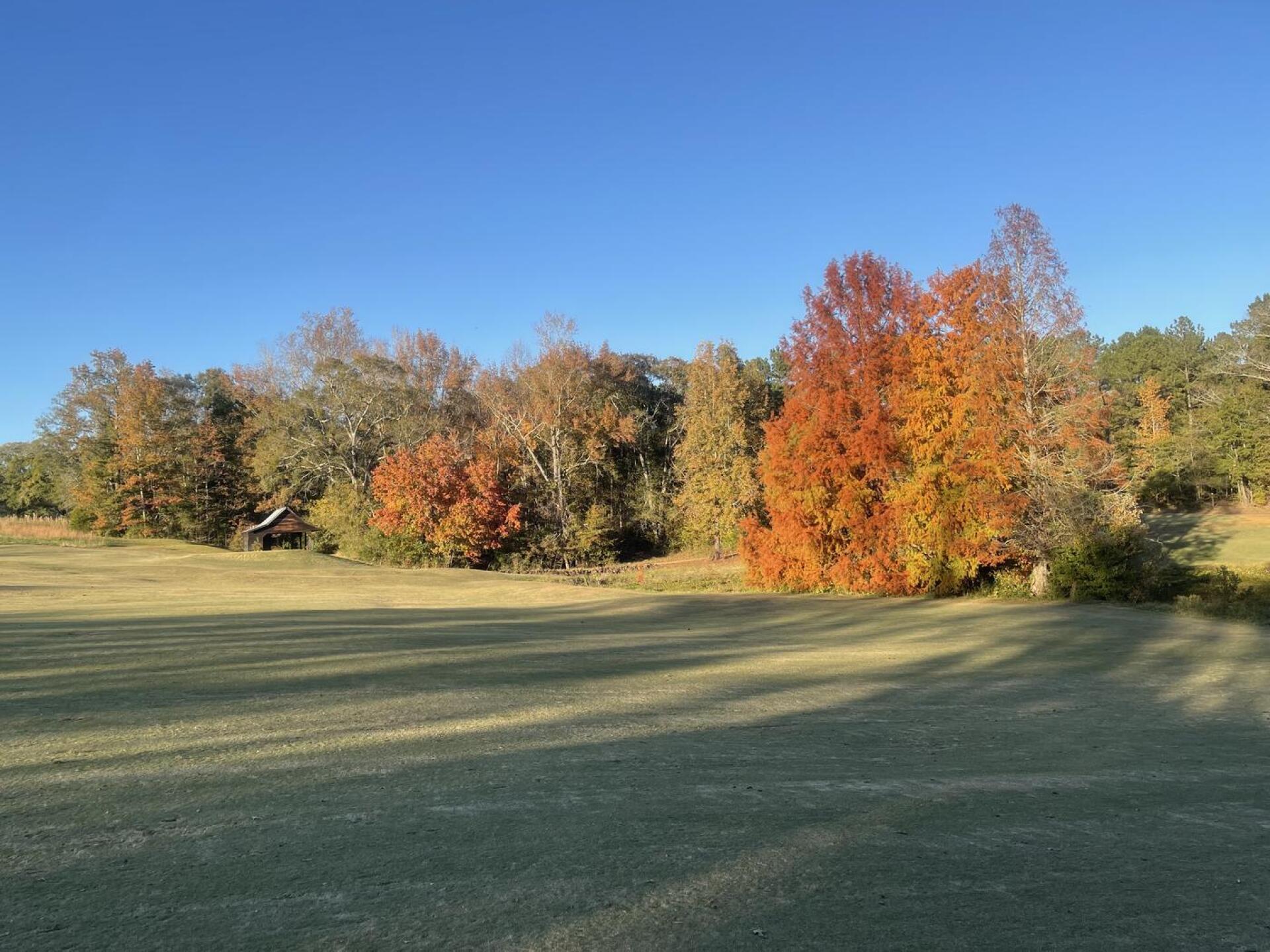 Beautiful scenery (Photo submitted by vwZt5AW7427SXoIExKyk on 11/13/2021)