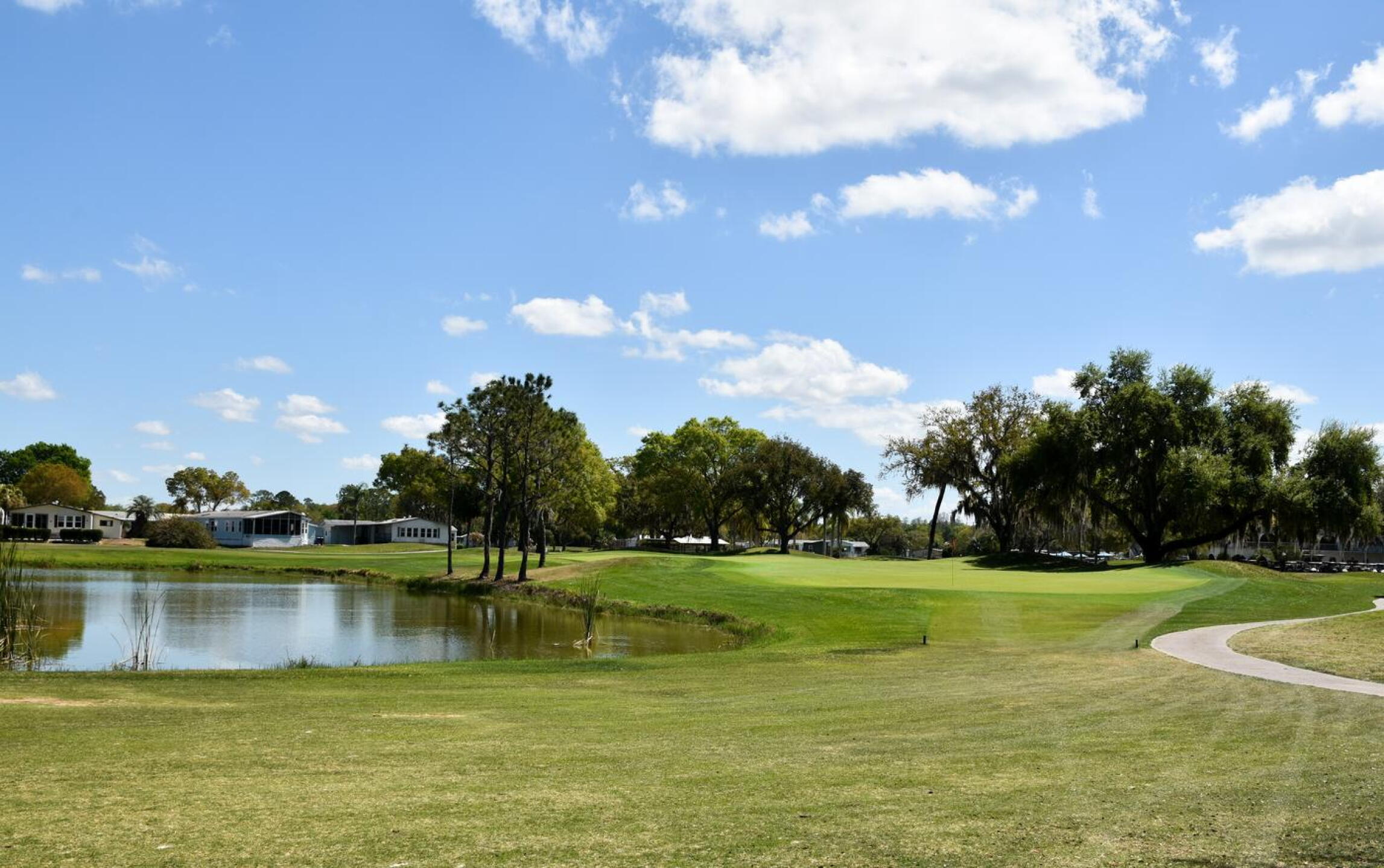 The ninth hole runs only 339 yards, but the dangerous approach must cross a pond. (Photo submitted by AptlyLinked on 03/13/2026)