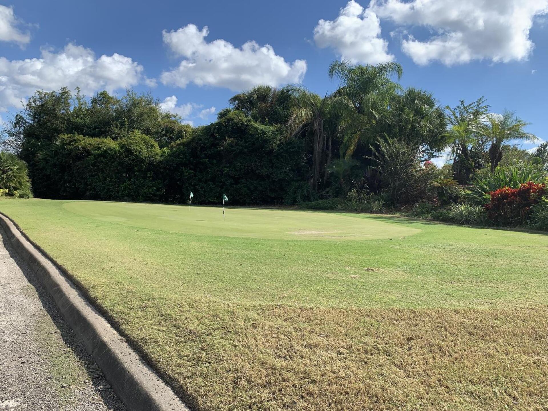 (Photo submitted by Jhagler on 11/03/2021)