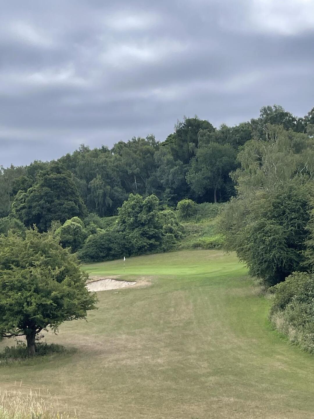 (Photo submitted by ReeceMaguire on 06/29/2025)